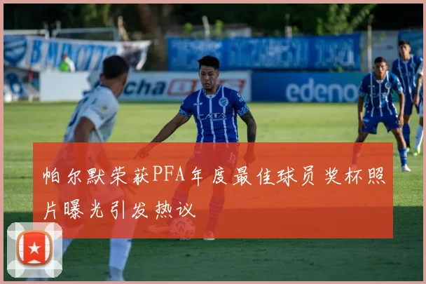 帕尔默荣获PFA年度最佳球员奖杯照片曝光引发热议