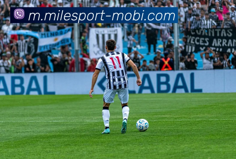 App Interface Preview