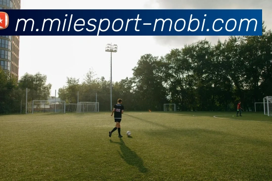 米乐体育APP 封面图